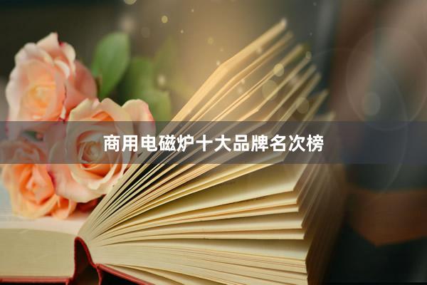 商用电磁炉十大品牌名次榜